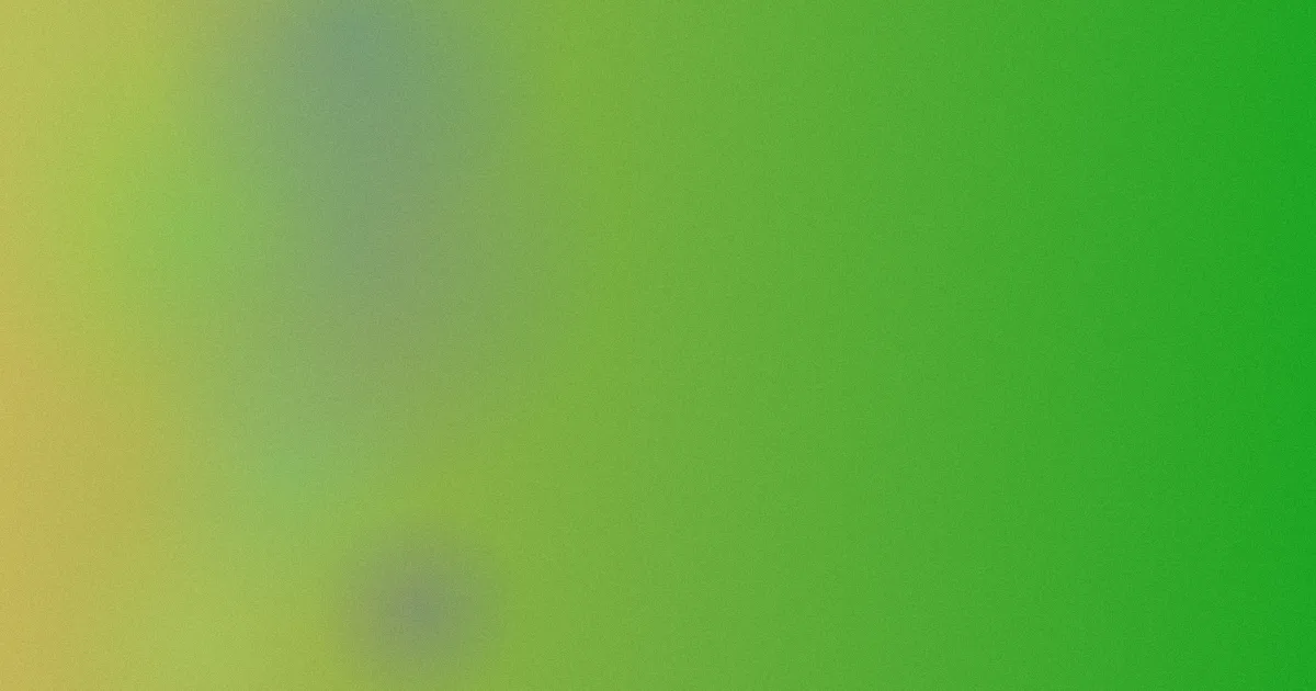 何蓝逗测评：新手别踩这些坑